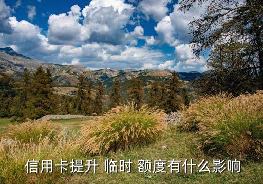 青年银行信用卡临时额度,农商银行信用卡临时额度怎么申请?