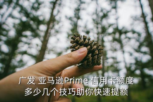 广发 亚马逊Prime 信用卡额度多少几个技巧助你快速提额