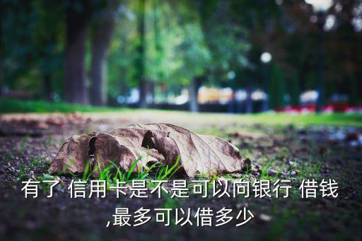有了 信用卡是不是可以向银行 借钱,最多可以借多少