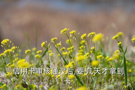  信用卡审核通过后,要 几天才拿到卡