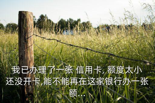 我已办理了一张 信用卡, 额度太小还没开卡,能不能再在这家银行办一张额...