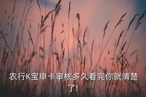  农行K宝申卡审核多久看完你就清楚了!