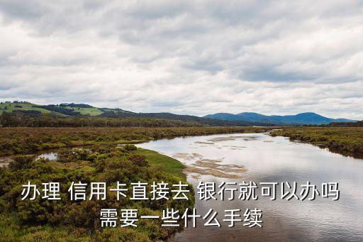 办理 信用卡直接去 银行就可以办吗需要一些什么手续