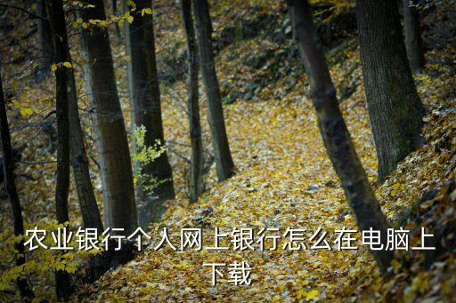 农业银行信用卡客户端pc