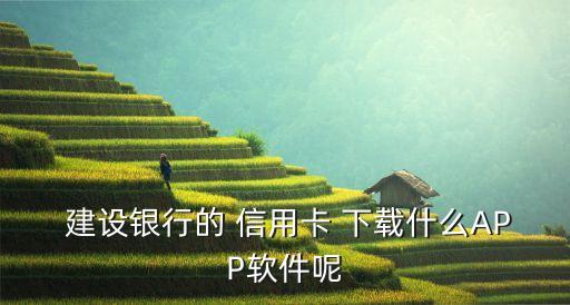 建设银行信用卡下载app,下载建设银行信用卡APP