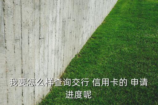 我要怎么样查询交行 信用卡的 申请进度呢