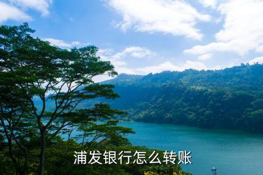  浦发银行怎么转账