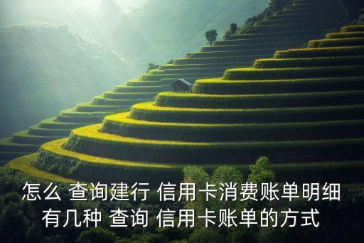 怎么 查询建行 信用卡消费账单明细有几种 查询 信用卡账单的方式