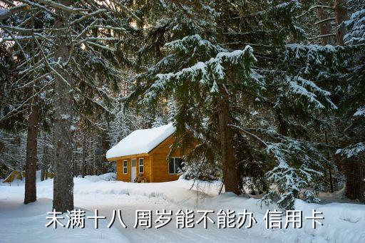  未满十八 周岁能不能办 信用卡