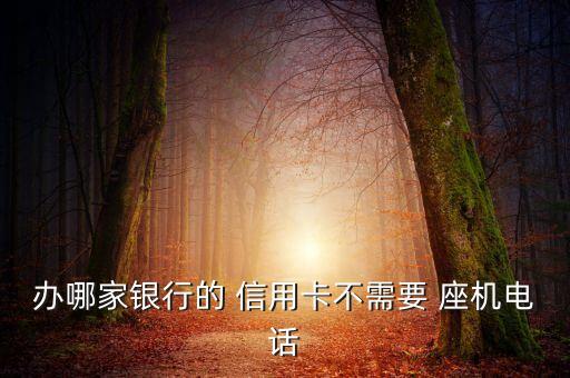 办哪家银行的 信用卡不需要 座机电话