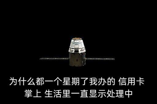 为什么都一个星期了我办的 信用卡 掌上 生活里一直显示处理中