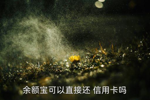 支付宝电脑还款信用卡吗,信用卡可以用支付宝还款吗?