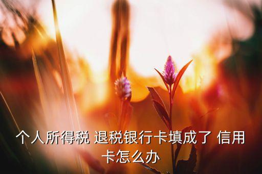 申请退税可以用信用卡吗,信用卡退税怎么申请