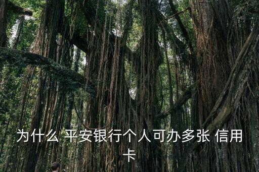为什么 平安银行个人可办多张 信用卡