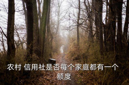 农村 信用社是否每个家庭都有一个 额度