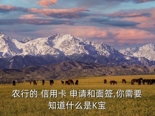 农行的 信用卡 申请和面签,你需要知道什么是K宝