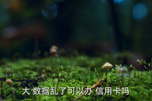 大 数据乱了可以办 信用卡吗