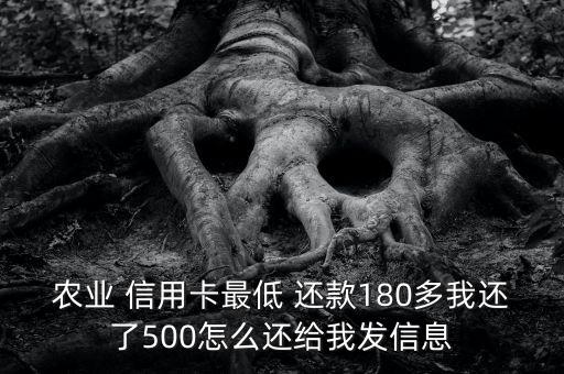 农业 信用卡最低 还款180多我还了500怎么还给我发信息