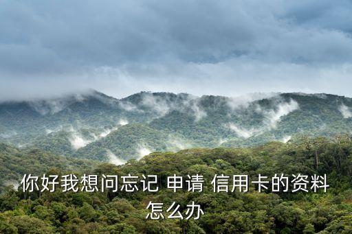 你好我想问忘记 申请 信用卡的资料怎么办