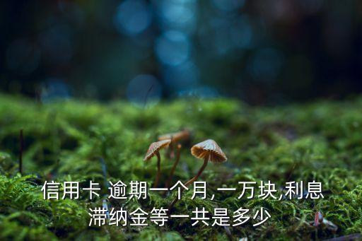  信用卡 逾期一个月,一万块,利息滞纳金等一共是多少