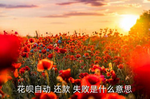 花呗自动 还款 失败是什么意思