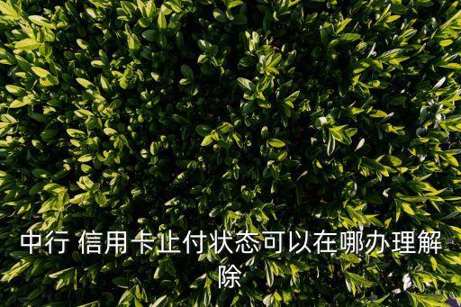 中行 信用卡止付状态可以在哪办理解除