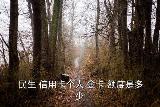 民生 信用卡个人 金卡 额度是多少