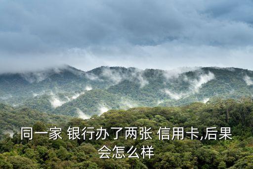 同个银行申请第二张信用卡