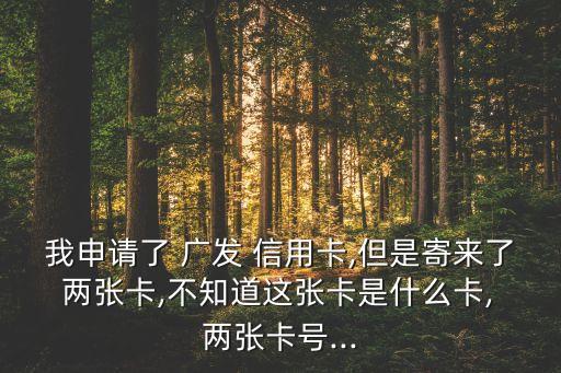 我申请了 广发 信用卡,但是寄来了 两张卡,不知道这张卡是什么卡, 两张卡号...