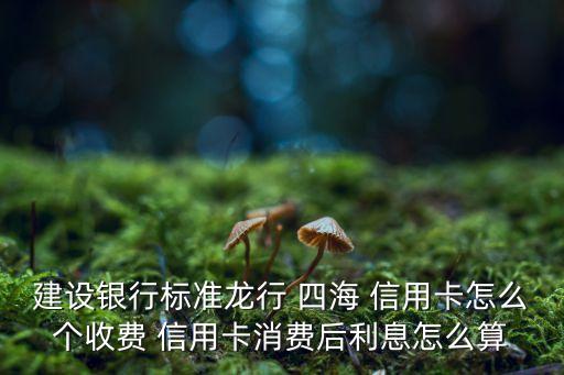 建设银行标准龙行 四海 信用卡怎么个收费 信用卡消费后利息怎么算