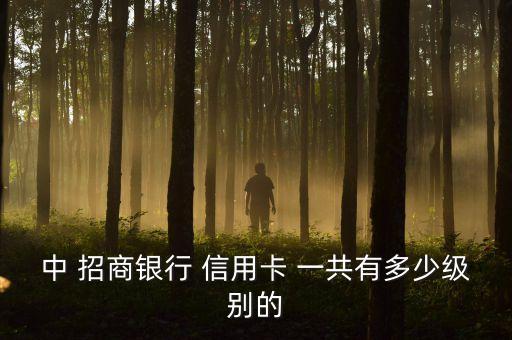 中 招商银行 信用卡 一共有多少级别的