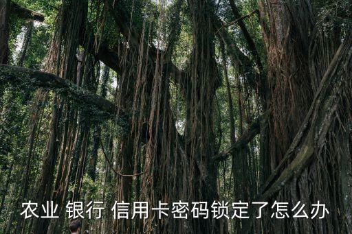 农业 银行 信用卡密码锁定了怎么办