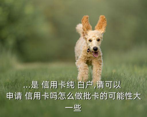 ...是 信用卡纯 白户,请可以 申请 信用卡吗怎么做批卡的可能性大一些