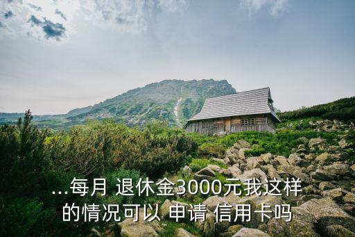 ...每月 退休金3000元我这样的情况可以 申请 信用卡吗