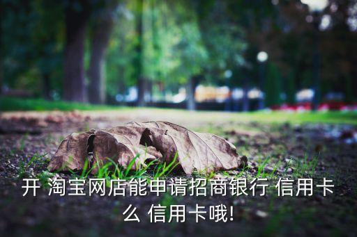 开 淘宝网店能申请招商银行 信用卡么 信用卡哦!