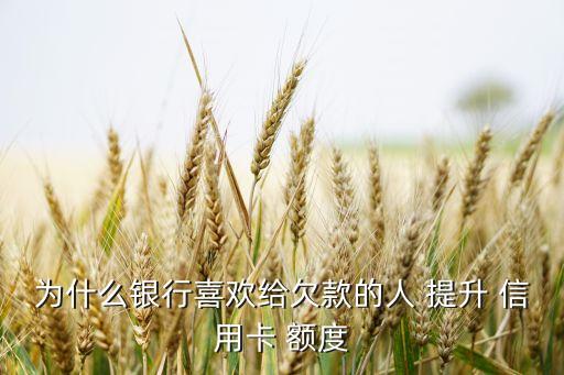 为什么银行喜欢给欠款的人 提升 信用卡 额度