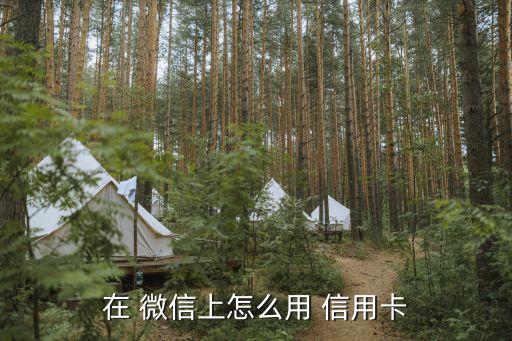 在 微信上怎么用 信用卡