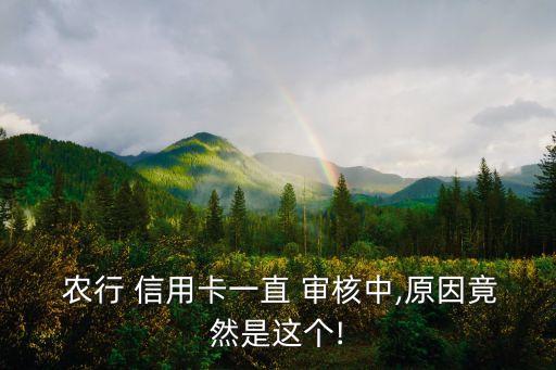  农行 信用卡一直 审核中,原因竟然是这个!