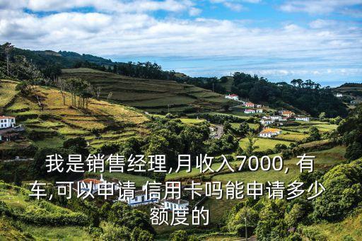 有车有工作办信用卡额度大,名下有车没有工作可以办信用卡吗?