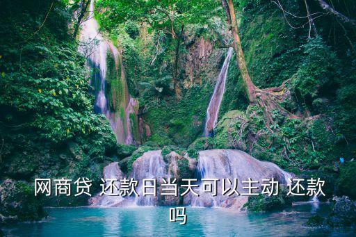  网商贷 还款日当天可以主动 还款吗