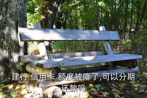 建行 信用卡 额度被降了,可以分期还款吗