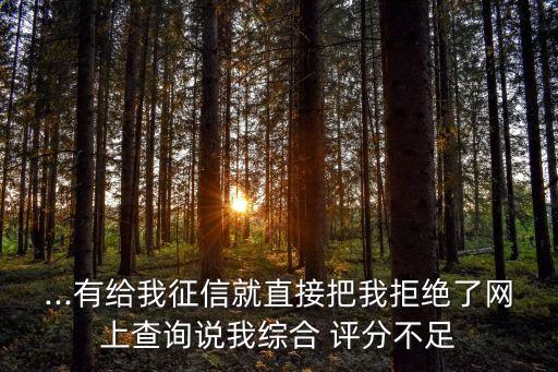 ...有给我征信就直接把我拒绝了网上查询说我综合 评分不足