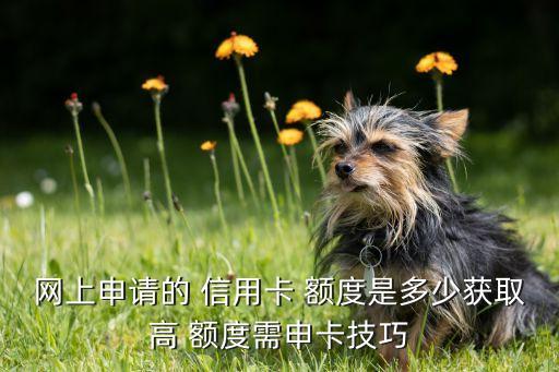 网上申请的 信用卡 额度是多少获取高 额度需申卡技巧