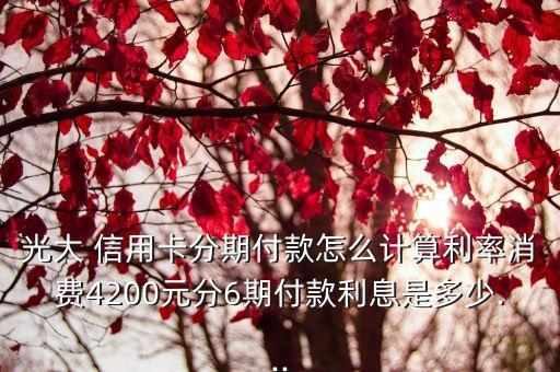 光大 信用卡分期付款怎么计算利率消费4200元分6期付款利息是多少...