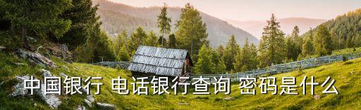中国银行 电话银行查询 密码是什么