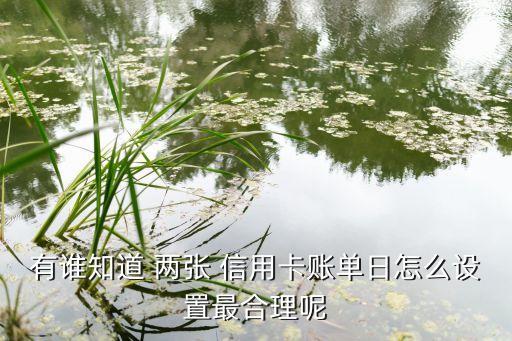 有谁知道 两张 信用卡账单日怎么设置最合理呢