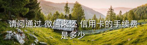 请问通过 微信来还 信用卡的手续费是多少
