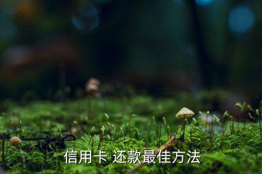  信用卡 还款最佳方法