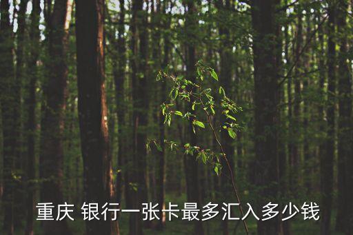  重庆 银行一张卡最多汇入多少钱