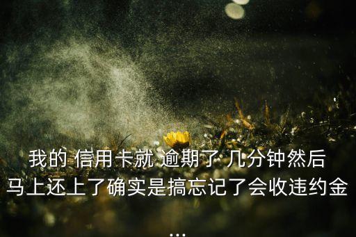我的 信用卡就 逾期了 几分钟然后马上还上了确实是搞忘记了会收违约金...